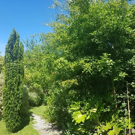 La Tonnelle *