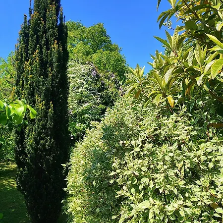 La Tonnelle