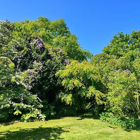 La Tonnelle 펜션 *